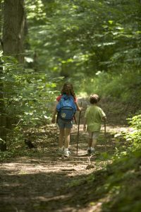 forest, hiking, kids, children, nature, people