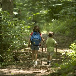 forest, hiking, kids, children, nature, people